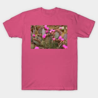 Cactus in Bloom T-Shirt